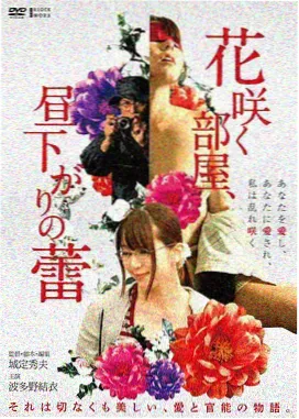 免费看电影 肖申克的救赎